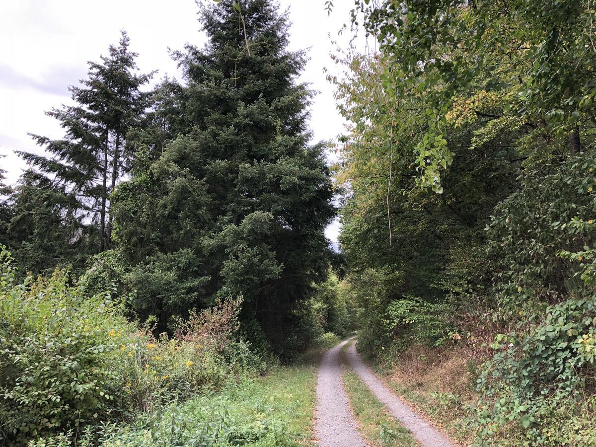 Ferienwohnung Weins Treis-Karden Bagian luar foto